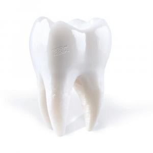 Виниловая пластинка LP Teething - Porij