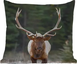 Подушка для улицы - Олень - Дерево - Рога - 40x40 см - Устойчива к погодным условиям - Подушка для отдыха - Подушка - Внутренняя часть - Обивка с изображением MuchoWow