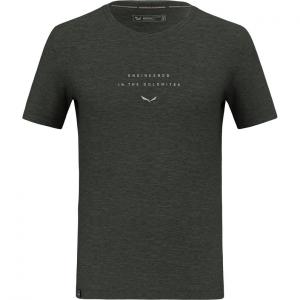 Мужская футболка Eagle EITD AM Salewa, зеленый