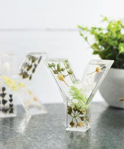 Заключенный исходный объект