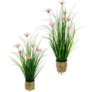 И.ГЕ.А. Искусственная трава «Gasbusch», с ромашками и лентой, в джутовом горшке, набор из 2 шт I.Ge.A., светло-розовый