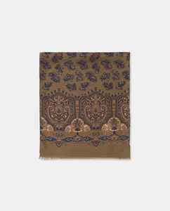 Фантазийный шелковый шарф Emidio Tucci, зеленый