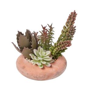 Декоративное растение Homescapes Succulenten Arrangement, зеленый