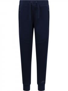 Спортивные брюки Trespass, синий