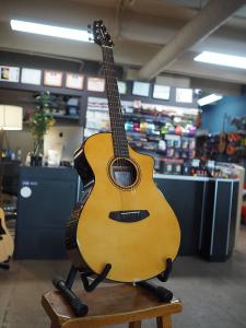 Акустическая гитара Breedlove Artista Pro Concert CE 2023 - Aged Toner