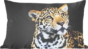 Декоративная подушка MuchoWow для дивана, декоративная подушка для гостиной, 60x40 см, Леопард, Голова, Лес, подушка с фотографией