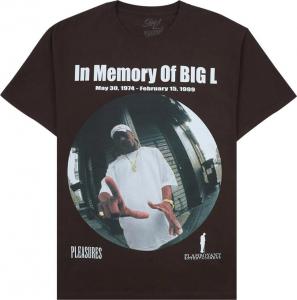 Футболка Pleasures In Memorty T-Shirt 'Brown', коричневый