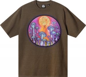 Футболка Stussy x Dries Van Noten Airbrush Vase Tee 'Khaki', коричневый