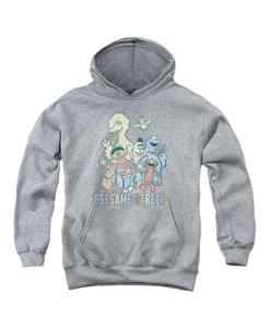 Детская красочная групповая толстовка с капюшоном Sesame Street, Medium grey