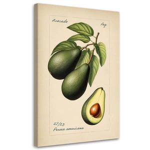 Картина арт-принт KUNSTLOFT Avocado, бежевый