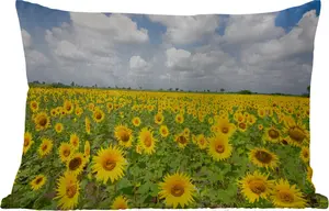 Подушка для улицы - Подсолнухи - Цветы - Облака - Природа - Желтый - Пейзаж - 50 x 30 см - Устойчива к погодным условиям - Подушка для отдыха - Подушка для дивана - Украшение для гостиной MuchoWow