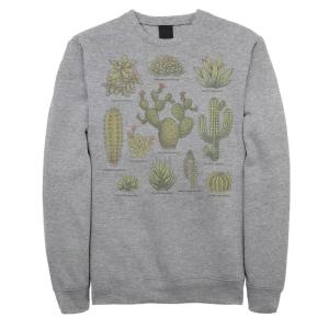 Мужская толстовка Fifth Sun Botanical Cactus Line Up Licensed Character