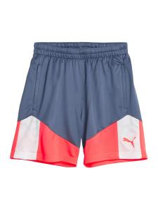 Обычные спортивные штаны PUMA, Gentian