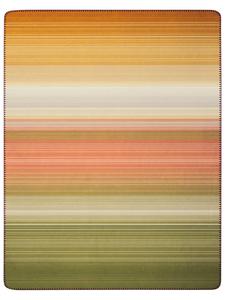 Детское и молодежное одеяло Woodland в красочных тонах biederlack