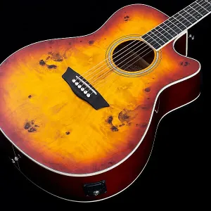 Акустико-электрогитара Washburn DFBACEA Deep Forest Burl Grand Auditorium, цвет Amber Fade