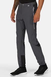 Походные брюки Isoflex 'Mountain III' Regatta, серый