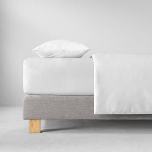 Простыня ESTELLA из тонкого трикотажа 6500, РАЗМЕР: 90х190 см - 100х200 см, ЦВЕТ: 100-белый