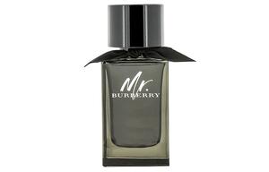 Мужской парфюм Sir, аромат Woody Fougere, туалетная вода, 100 мл Burberry