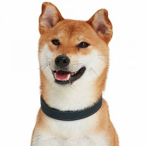 Ошейник для собак из натуральной кожи Blueberry Pet, цвет Navy Blue