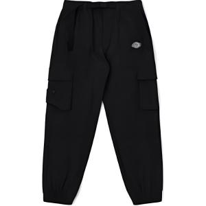 Мужские трикотажные спортивные штаны Dickies, цвет Black