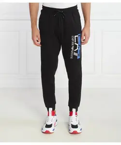 Спортивные штаны Regular fit Ea7, черный
