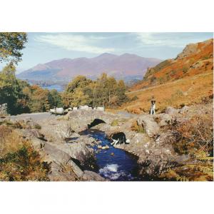 Пазлы Thirsty Work 1000 Piece Puzzle