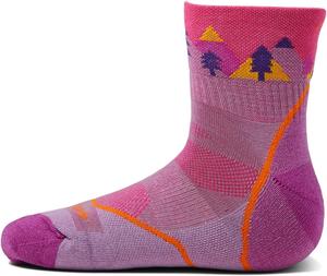 Носки Darn Tough Vermont Quest 1/4 Lightweight with Cushion, цвет Violet