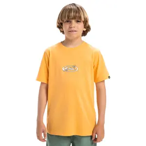 Детская футболка Quiksilver Evo Nature Magic, оранжевый