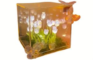 Атмосферные огни The Star God Project