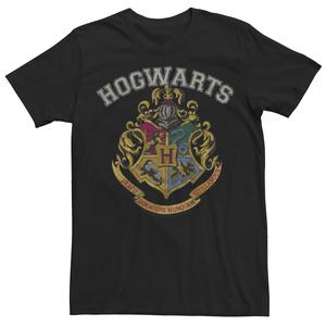 Мужская футболка с винтажным логотипом Harry Potter Licensed Character