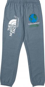 Спортивные брюки The North Face x Online Ceramics Graphic Sweatpants 'Blue Regrind', синий