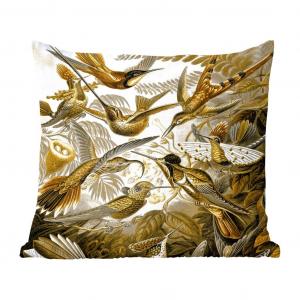 Декоративная подушка MuchoWow, диванная подушка, декоративная подушка для гостиной, 60 x 60 см, Trochilidae - Ernst Haeckel - золото - чехол на подушку - хлопчатобумажная ткань - декоративные наволочки