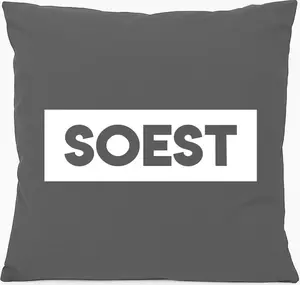 Подушка для дивана Soest от Hellweg Printing Company, классический подарок, 40x40 см, с наполнителем, серо-стальной, хлопковый сувенир Soest Hellweg Druckerei