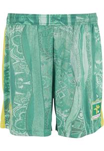 Обычные брюки Colucci, зеленый/светло-зеленый