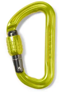 Фантом карабин с винтовой муфтой DMM, Lime