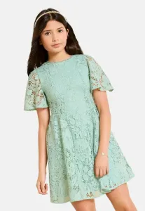 Платье для коктейльной вечеринки/праздничного вечера со стандартным кроем и рукавами Lipsy, Sage Green