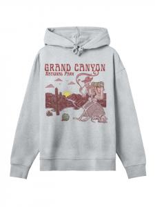 Толстовка с капюшоном Национальные парки США Гранд-Каньон Восход серо-меланжевого цвета F4NT4STIC