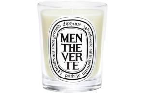 Практическая ароматерапия Diptyque, mint 190g