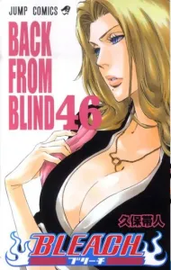 Bleach 46 (Jump Comics)