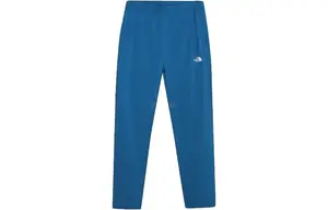 Трикотажные спортивные штаны мужские синие The North Face, синий