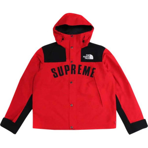 Парка Supreme x The North Face Arc Logo Mountain Parka 'Red', красный