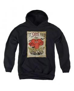 Мальчики Молодежь The Depths Pull Over Hoodie / Толстовка с капюшоном Looney Tunes, черный