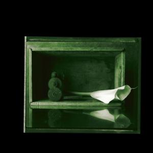 Виниловая пластинка LP Elegies (7") - Jad Fair