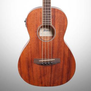 Ibanez PNB14E Performance Parlor Акустическая электрическая бас-гитара, Open Pore Natural