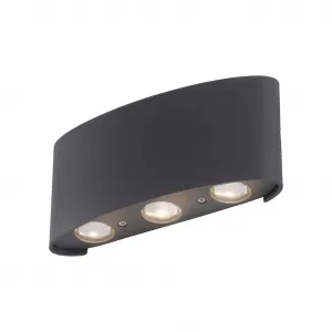 Наружный настенный светильник CARLO с LED-панелью, 1 шт., теплый белый свет, степень защиты IP 54, для наружного и внутреннего использования Paul Neuhaus, антрацит