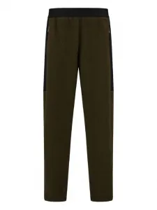 Флисовые спортивные брюки со вставками Herno, зеленый