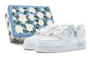 Мужские кроссовки для скейтбординга Nike Air Force 1, Sky Blue
