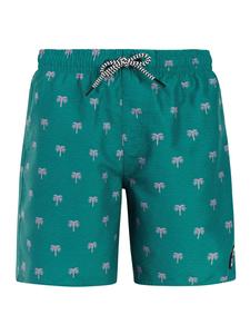 PROTEST Шорты для серфинга 'PRTCalvin JR' в светло-зеленом цвете