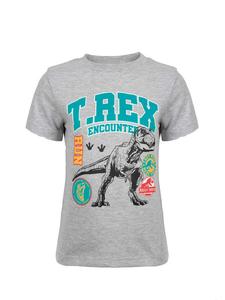 Футболка Disney Frozen, серый