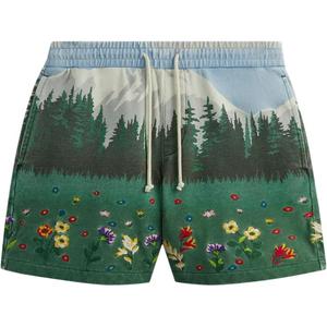 Сценические шорты Curtis из флиса KITH, зеленый